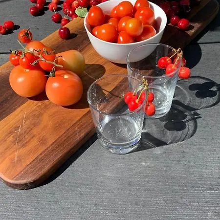 Bed & Breakfast Borgo Crispiero