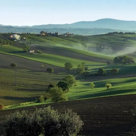 Borgo *