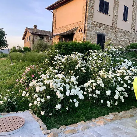 Borgo *
