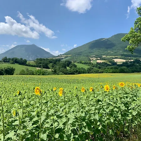 Borgo Bed & Breakfast