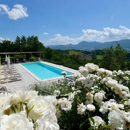 Bed & Breakfast Borgo *