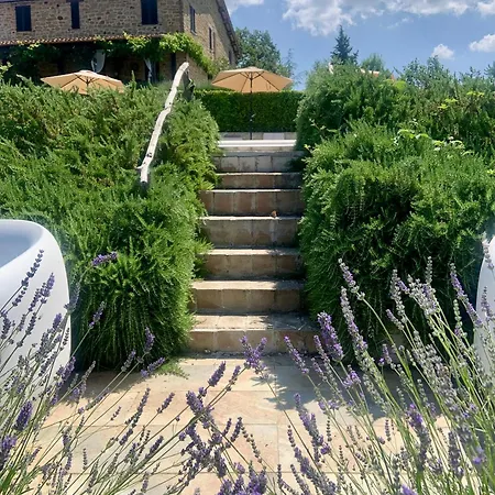 Borgo