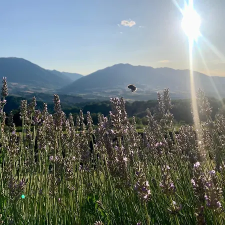 Bed & Breakfast Borgo