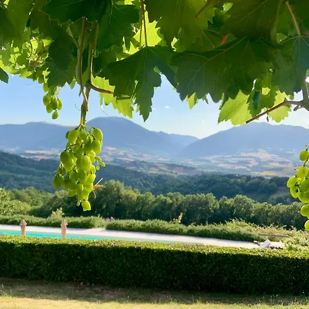 Bed & Breakfast Borgo Crispiero